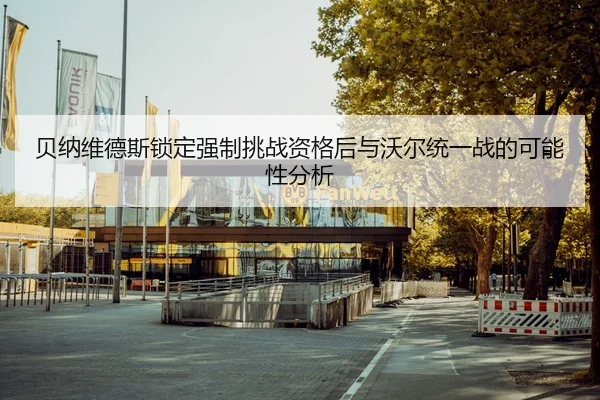 bei-na-wei-de-si-suo-ding-qiang-zhi-tiao-zhan-zi-ge-hou-yu-wo-er-tong-yi-zhan-de-ke-neng-xing-fen-xi-2-315.jpg