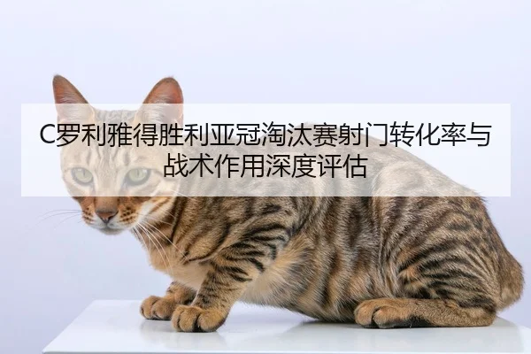 C罗利雅得胜利亚冠淘汰赛射门转化率与战术作用深度评估