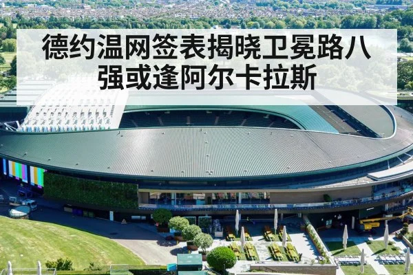德约温网签表揭晓卫冕路八强或逢阿尔卡拉斯