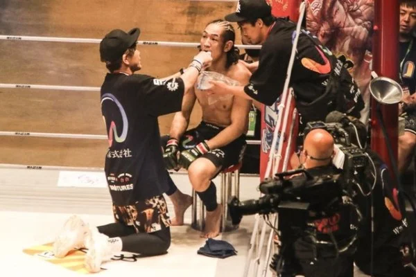 林诗栋WTT中国大满贯男单晋级与国乒新周期竞争格局深度分析